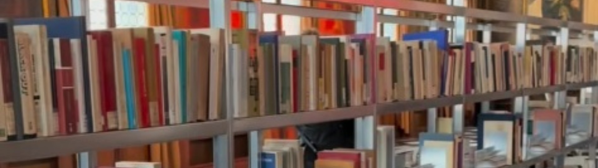 Da Palermo a Venezia: i libri della Biblioteca etnografica Pitrè alla Biennale di Venezia
